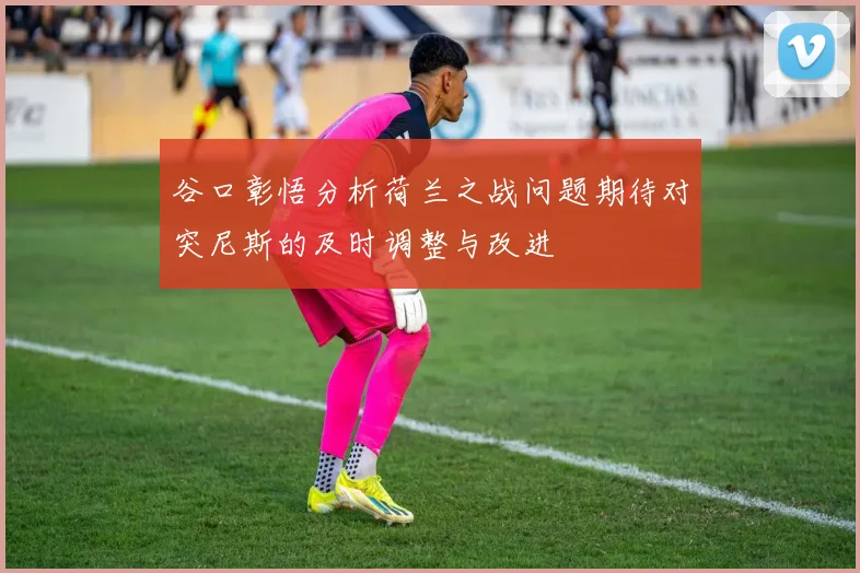 谷口彰悟分析荷兰之战问题期待对突尼斯的及时调整与改进